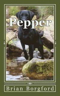 bokomslag Pepper: The Story of a Lost Dog