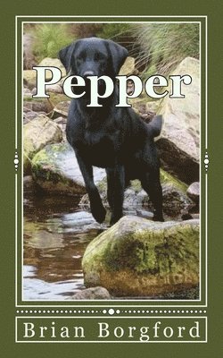 Pepper: The Story of a Lost Dog 1