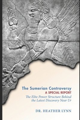 bokomslag The Sumerian Controversy