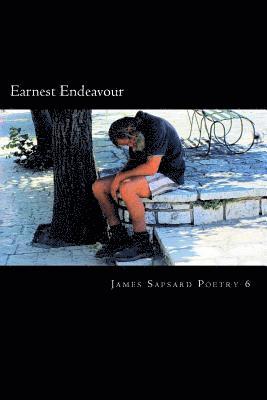 bokomslag Earnest Endeavour