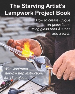 The Starving Artist's Lampwork Project Book 1