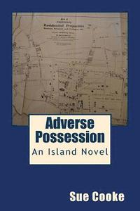 bokomslag Adverse Possession