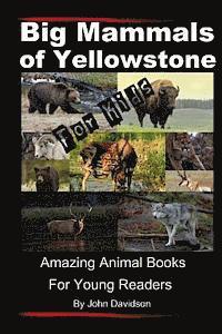 bokomslag Big Mammals Of Yellowstone For Kids: Amazing Animal Books for Young Readers
