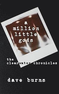 bokomslag A million little gods: the clearwater chronicles