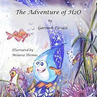 bokomslag The Adventure of H2O