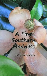 bokomslag A Fine Southern Madness