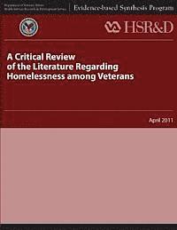 bokomslag A Critical Review of the Literature Regarding Homelessness Among Veterans