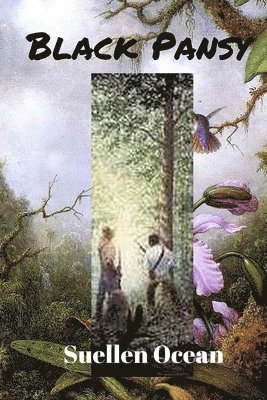Black Pansy