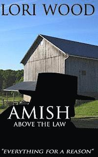 bokomslag Amish Above The Law