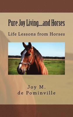 Pure Joy Living.....and Horses: My journey through life with horse fever. 1