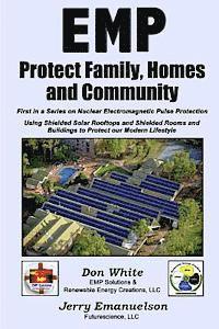 bokomslag EMP - Protect Family, Homes and Community