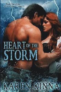 bokomslag Heart of the Storm