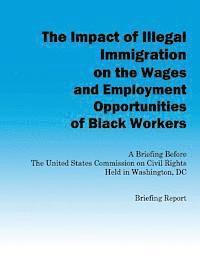 bokomslag The Impact of Illegal Immigration on the Wages and Employment Opportunities of Black Workers