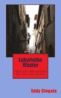 bokomslag Labyrinthe Master: Jeux de Labyrinthes de Tous Les Styles