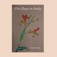 bokomslag Ten Days in India