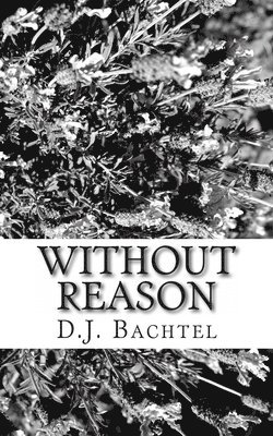 D. J. Bachtel - Without Reason, Häftad