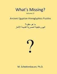 M. Schottenbauer - What's Missing?: Ancient Egyptian Hieroglyphics Puzzles, Häftad. Tillgänglighet: Lägg i varukorg