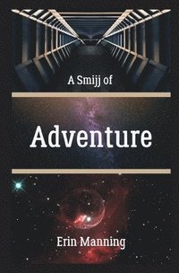 bokomslag A Smijj of Adventure