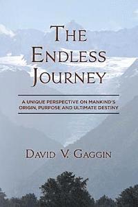 bokomslag The Endless Journey: A Unique Perspective on Mankind's Origin, Purpose and Ultimate Destiny