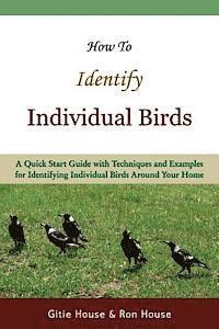 bokomslag How To Identify Individual Birds