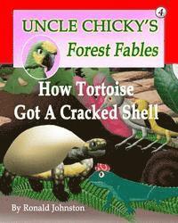 How Tortoise Got A Cracked Shell 1