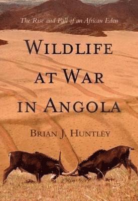 bokomslag Wildlife at war in Angola