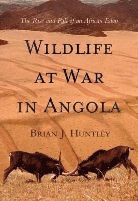 Wildlife at war in Angola