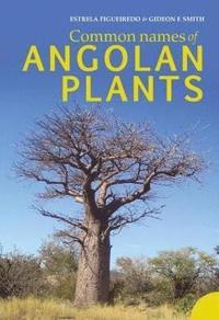 bokomslag Common names of Angolan plants