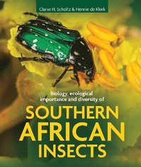 bokomslag Biology, ecological importance and diversity of southern African insects