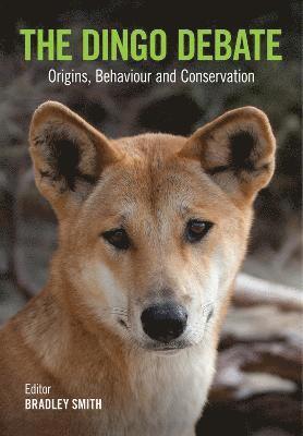 Bradley P Smith - The Dingo Debate, Häftad