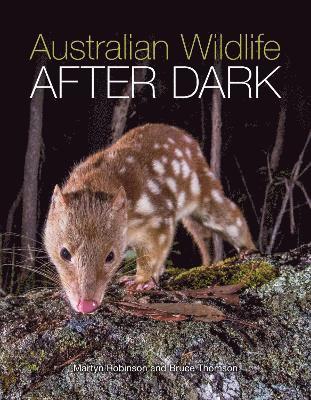 bokomslag Australian Wildlife After Dark