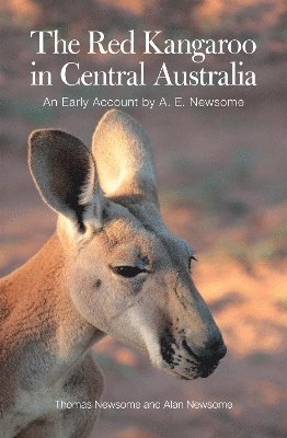 The Red Kangaroo in Central Australia 1