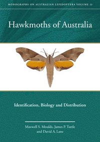 bokomslag Hawkmoths of Australia