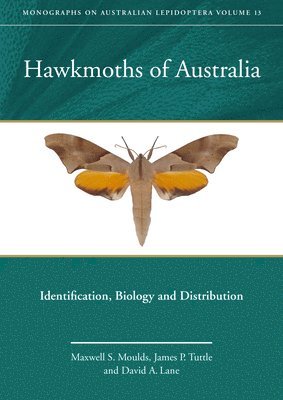 Hawkmoths of Australia 1