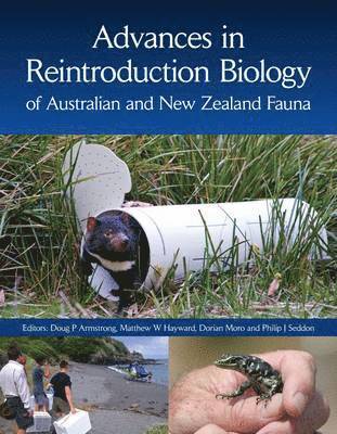 bokomslag Advances in Reintroduction Biology of Australian and New Zealand Fauna