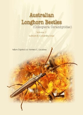 Australian Longhorn Beetles 1