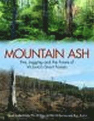 Mountain Ash: Fire, Logging, and the Future of Victoria's Giant Forests