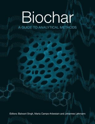 Balwant Singh, Marta Camps-Arbestain, Johannes Lehmann - Biochar, Häftad
