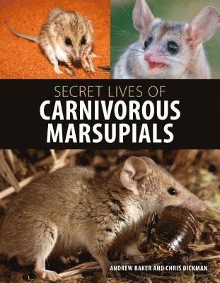 Secret Lives of Carnivorous Marsupials 1