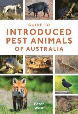 Guide to Introduced Pest Animals of Australia 1