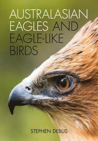 bokomslag Australasian Eagles and Eagle-like Birds