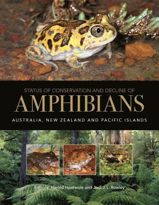Harold Heatwole, Jodi J. L. Rowley, Jodi J L Rowley - Status of Conservation and Decline of Amphibians: Australia, New Zealand, and Pacific Islands, Inbunden