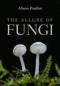 bokomslag The Allure of Fungi