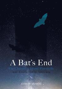 bokomslag A Bats End
