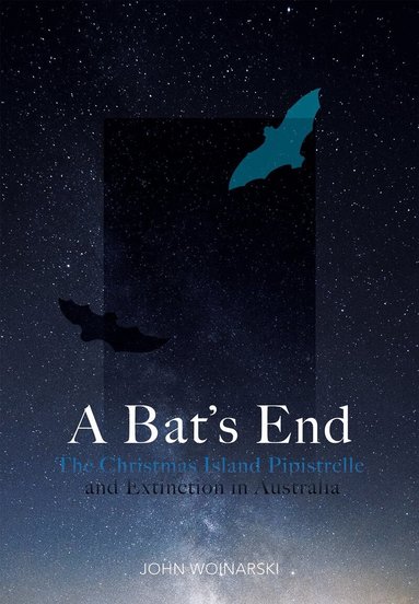 John Woinarski - Bat's End, Häftad
