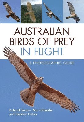 bokomslag Australian Birds of Prey in Flight