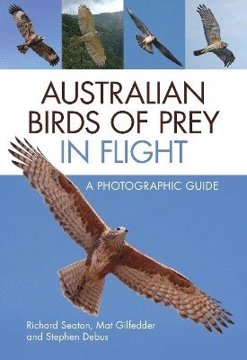 Australian Birds of Prey in Flight 1