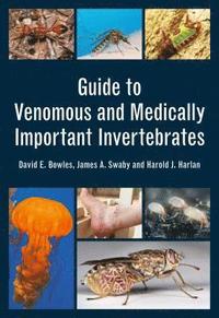 bokomslag Guide to Venomous and Medically Important Invertebrates