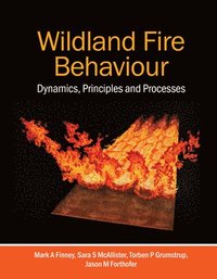 bokomslag Wildland Fire Behaviour