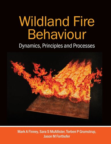 Mark A. Finney, Sara McAllister, Torben P. Grumstrup, Jason M. Forthofer - Wildland Fire Behaviour, Häftad